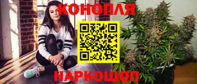 шишки Волгодонск